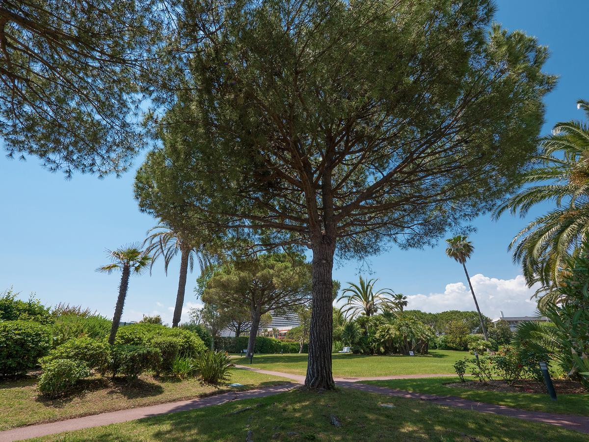 Hôtel Bahia Villeneuve-Loubet Bagian luar foto
