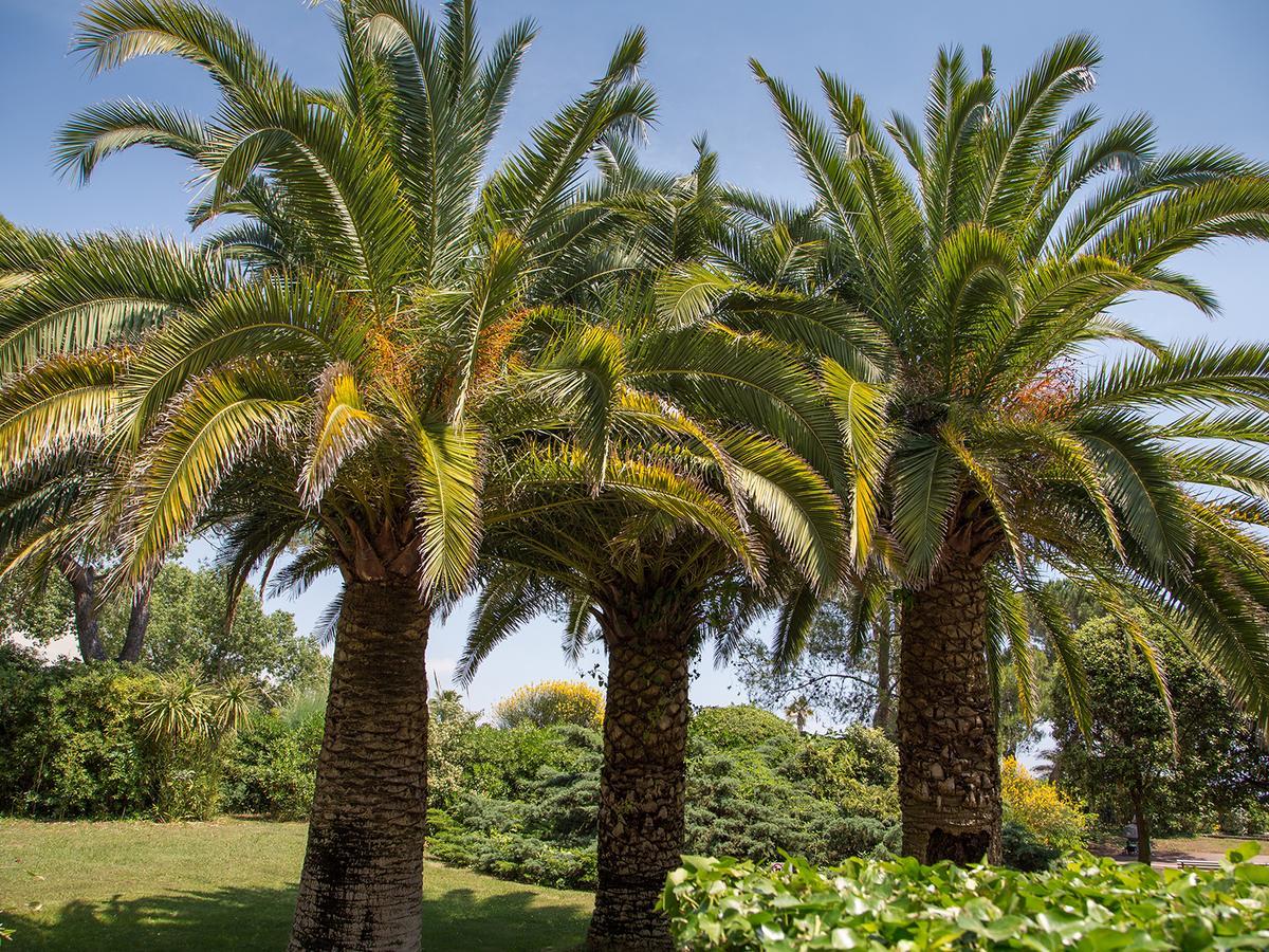Hôtel Bahia Villeneuve-Loubet Bagian luar foto
