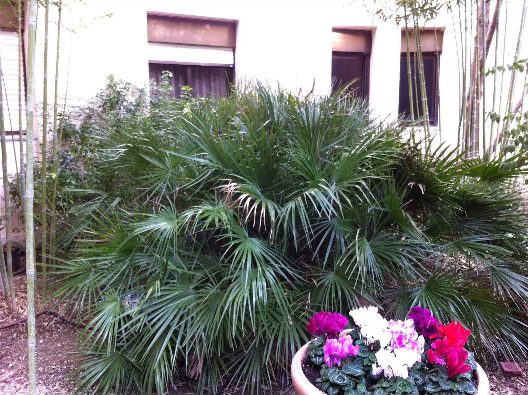 Hôtel Bahia Villeneuve-Loubet Bagian luar foto
